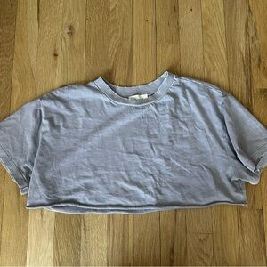 Elwood Light Purple Distressed Short Sleeve Crop Top Tee Size XS